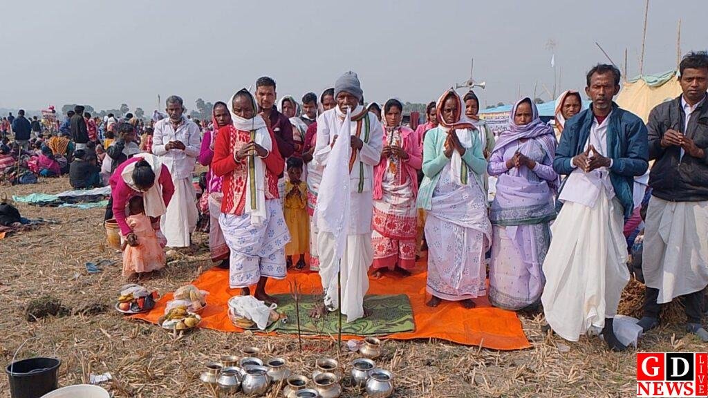 img 20260114 wa00623071337307209248793