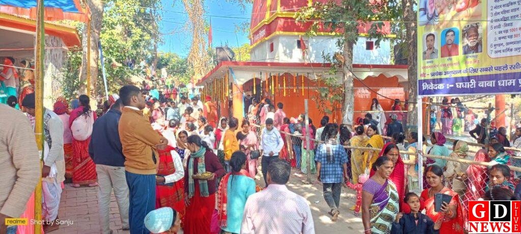 img 20260115 wa00332629133181709636119