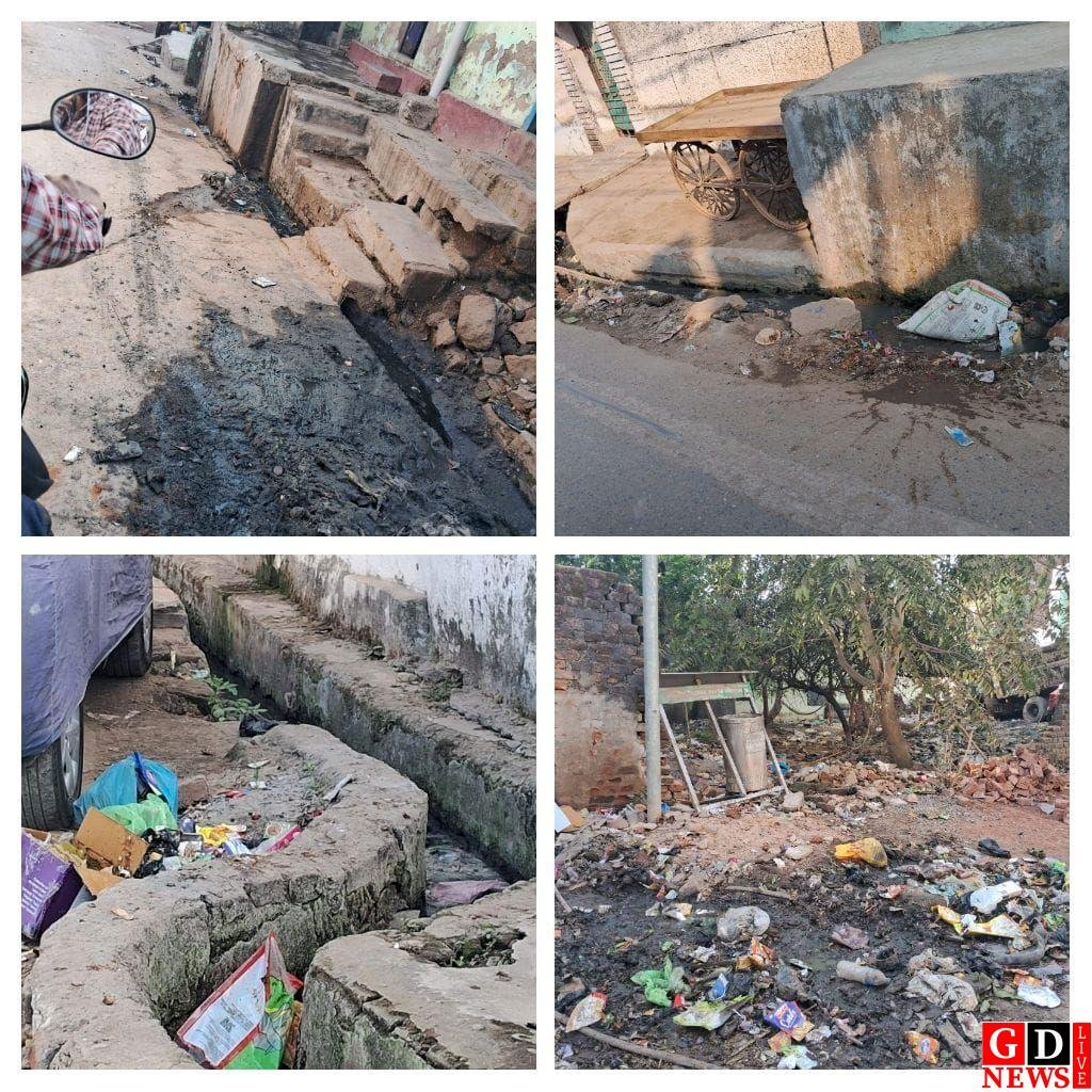 चुनावी शोर के बीच बदहाल मेदिनीनगर: वार्ड 27, 25 और 26 में नारकीय स्थिति, दावों और वादों के बीच जनता बेहाल 7 img 20260121 wa00736592821260240004965