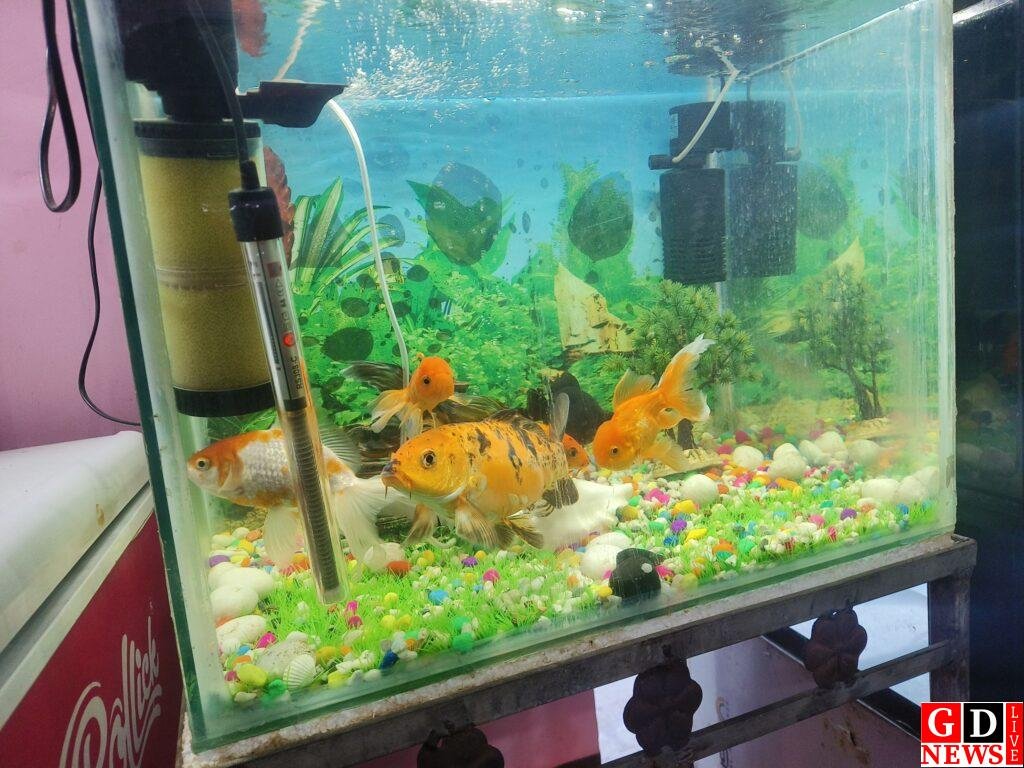 img 20260119 1708281690619869203954142