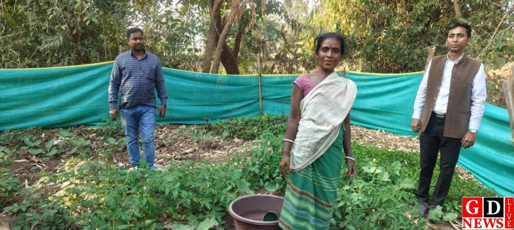 img 20260207 wa00307893761452571938534