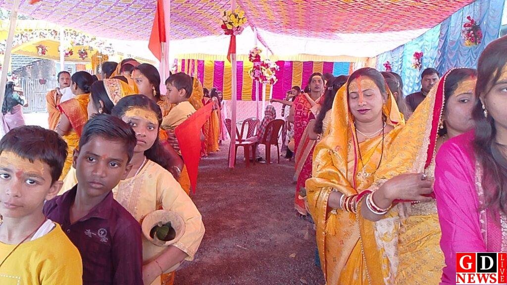 img 20260213 wa00454584879868256542946