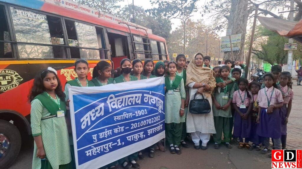 img 20260215 wa00236389788652427739228