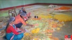 दीदियों के हाथों तैयार हो रही हर्बल गुलाल से गुलजार होगा पाकुड़ का होली बाजार। 8 img 20260221 wa00163482893705403817340