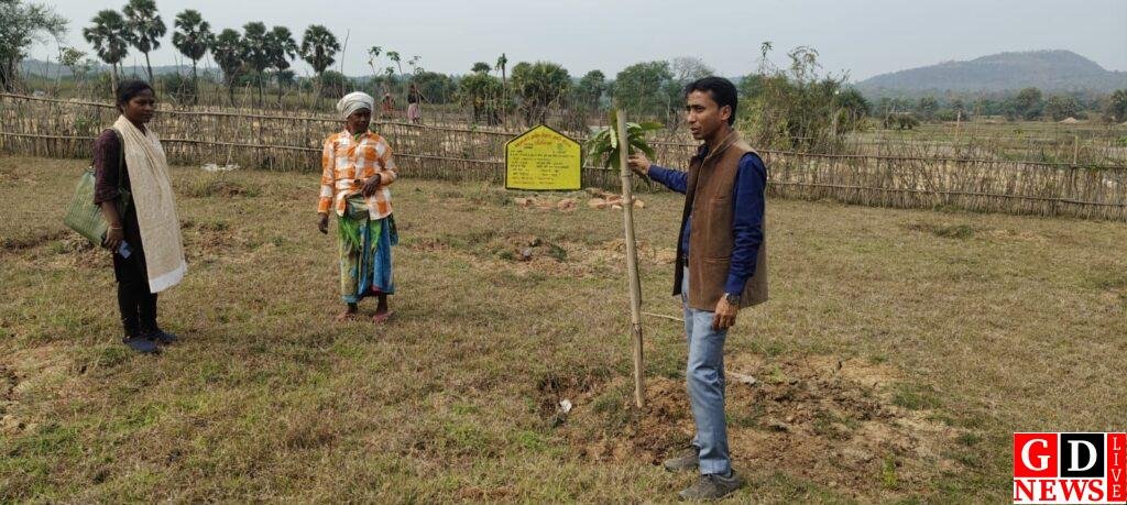 मनरेगा योजनाओं की सघन समीक्षा, मानव दिवस सृजन और ई-केवाईसी पर सख्त निर्देश। 7 img 20260221 wa00257414007909253877572