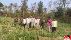 सतबरवा थाना क्षेत्र में अवैध अफीम/पोस्ता की खेती नष्ट 3 IMG 20260310 WA0021