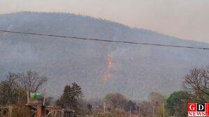 वन विभाग ने जारी किया सार्वजनिक सूचना एवं सख्त चेतावनी 1 IMG 20260315 WA0128