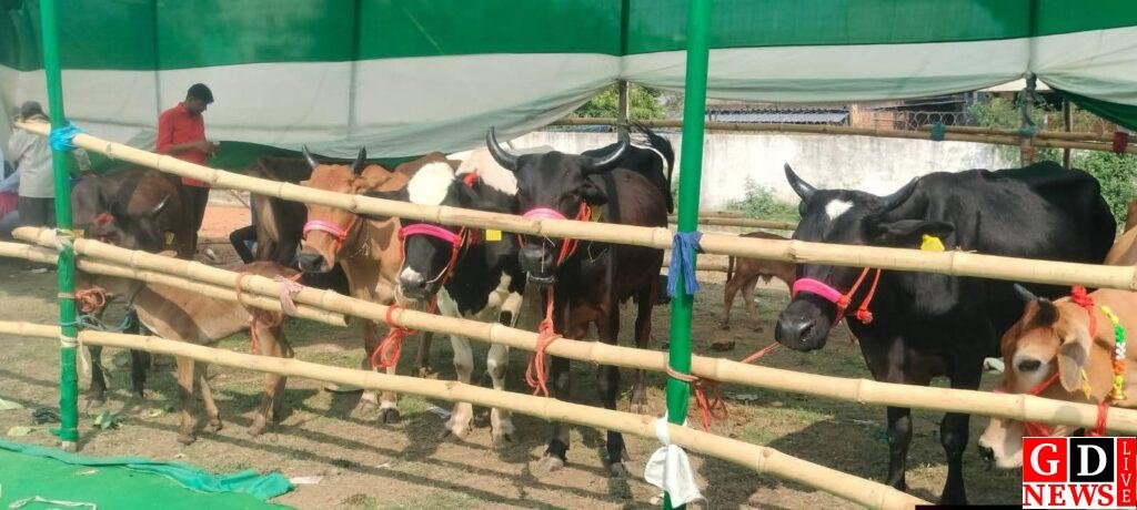 रामगढ़ में जिला स्तरीय किसान मेला सह प्रदर्शनी का भव्य आयोजन 10 fb img 17742877420563179760833466547977