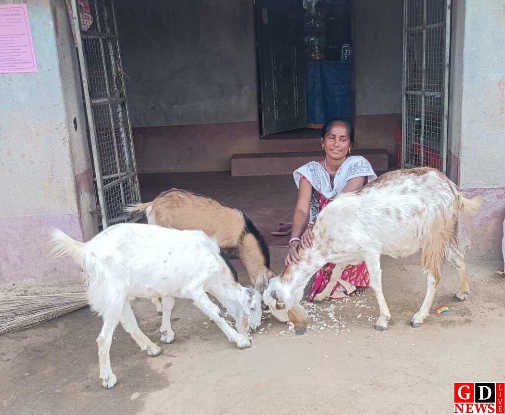 img 20260301 wa00243506606997029825960