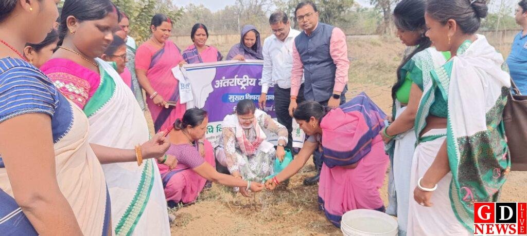 img 20260308 wa00595941135051186923665