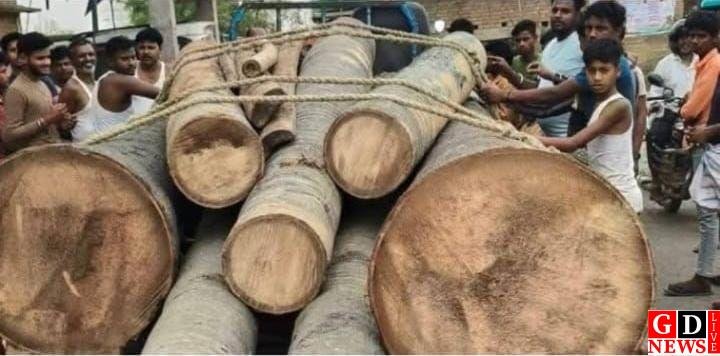 img 20260312 wa00563626371561298332686