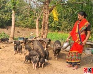 img 20260313 wa0045726889425144306561