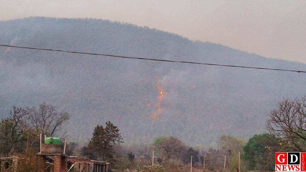 img 20260315 wa01283954063402311354605