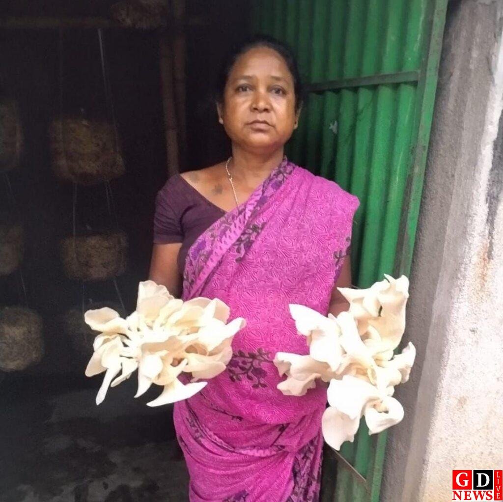 img 20260317 wa00116824849950228250095