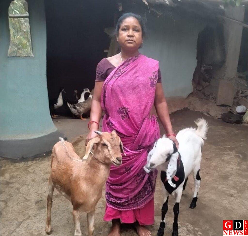 सम्मान की राह पर फूलमणि मुर्मू, आत्मनिर्भरता से गढ़ी नई पहचान। 8 img 20260317 wa0012792536595523118300