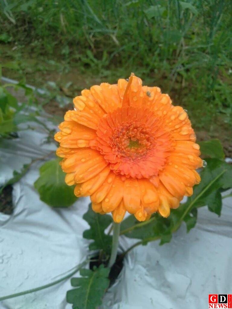 जुनून और मेहनत से खिला सफलता का गुलशन, उत्तम सहाजी बने बदलाव की पहचान। 7 img 20260317 wa00188308957207654135285