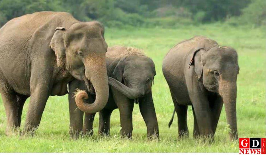 img 20260324 wa0142238885454791125405