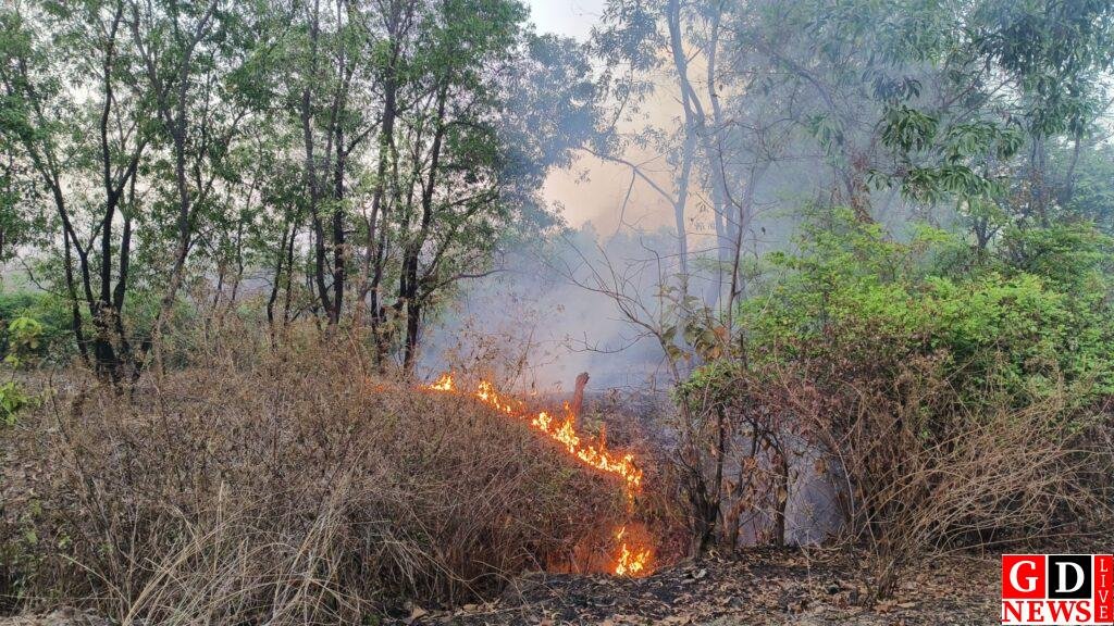 img 20260314 1748353553147914726375575