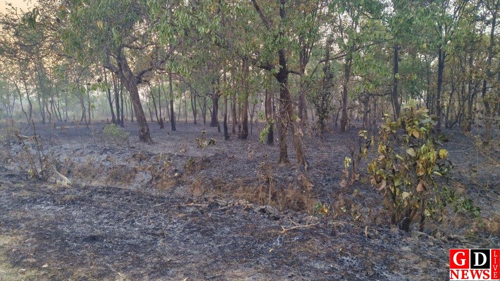 img 20260314 1752211725930639068130101