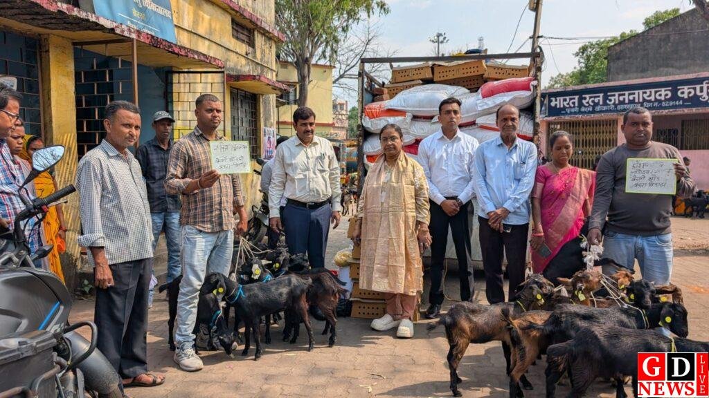 पशुपालन विभाग कार्यालय, बेरमो में मुख्यमंत्री पशुधन विकास योजना के तहत् लाभुकों के बीच 10 यूनिट बकरा वितरण किया गया। 7 motion photo 89154534072582385665370213649012692868