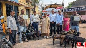 पशुपालन विभाग कार्यालय, बेरमो में मुख्यमंत्री पशुधन विकास योजना के तहत् लाभुकों के बीच 10 यूनिट बकरा वितरण किया गया। 1 motion photo 9107887230209725617