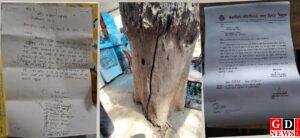 आदेश के बाद भी नहीं कटा सूखा पेड़, प्रशासन की लापरवाही से सादिक चौक पर मंडरा रहा खतरा 2 IMG 20260413 WA0032 1