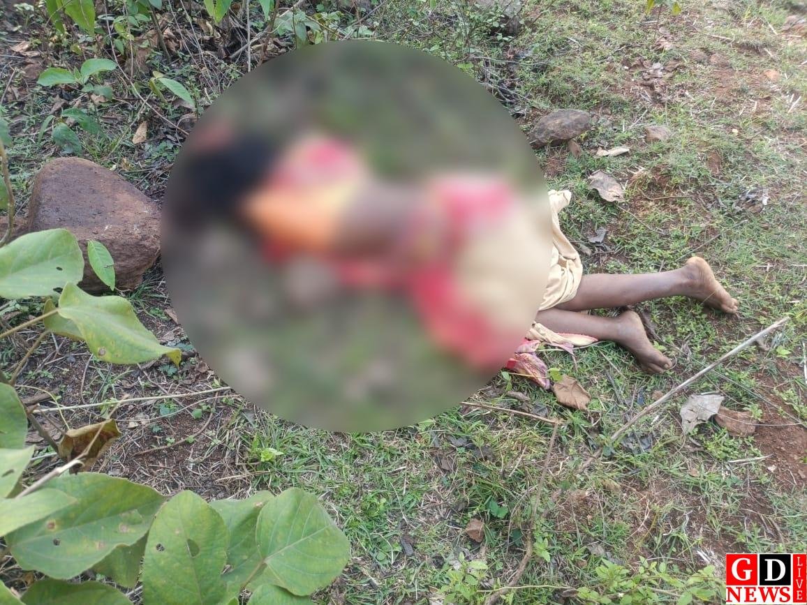 पत्थर से कुचलकर पत्नी की हत्या, आरोपी पति फरार।