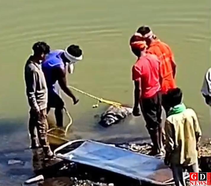 img 20260410 wa00084404556364065173153