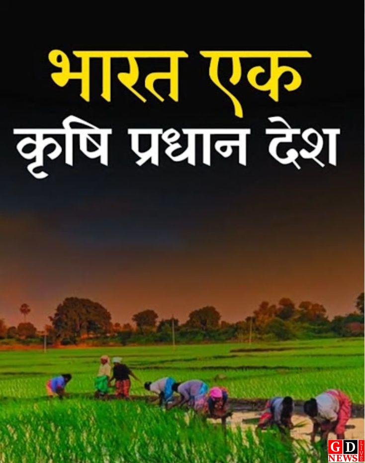 img 20260411 wa01247873179025976896783