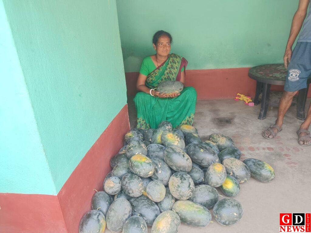 img 20260413 wa00119017346759354906710