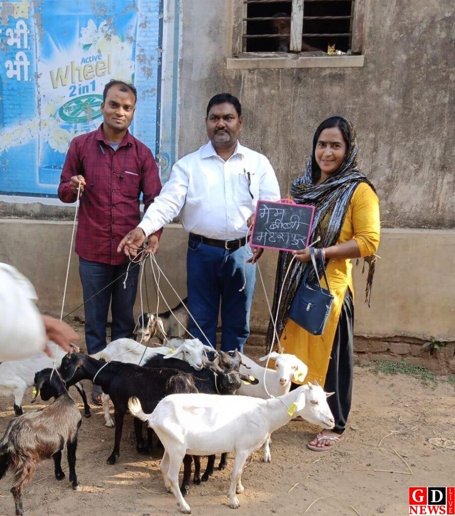 पशुपालन से आत्मनिर्भरता की ओर बढ़े कदम, लाभुकों को मिला बकरा-बकरी यूनिट 8 img 20260413 wa00151179019521571953976