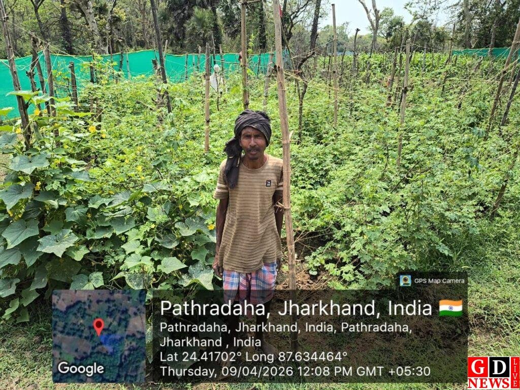 img 20260416 wa00194307774924431114304