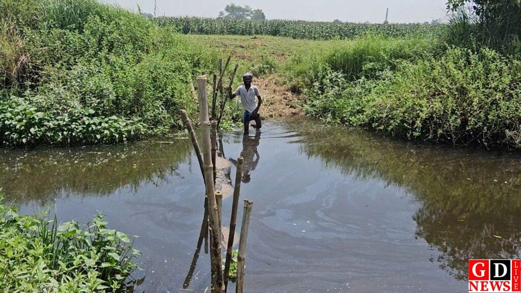 img 20260422 wa00191106010559624113276