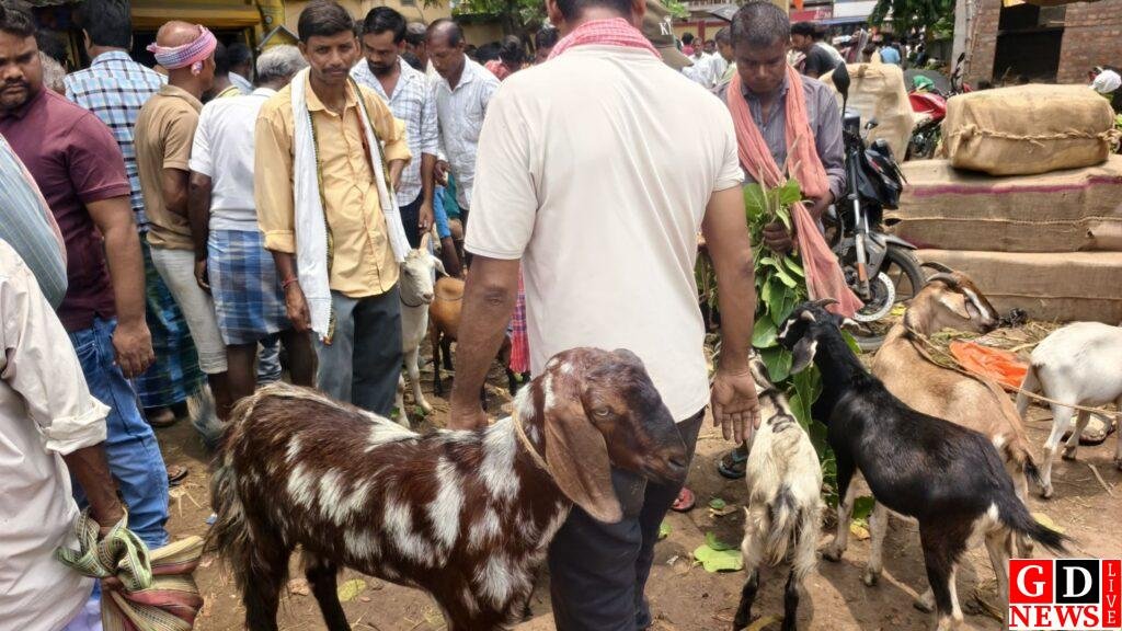 बकरीद की आहट से गुलजार हुआ मवेशी हाट,चालीस हजार तक बिक रहे खस्सी। 7 img 20260522 wa00888034926263819569357