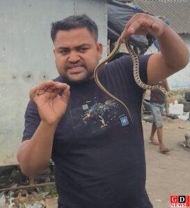 बाइक की सीट के नीचे छिपा था ‘भेड़िया सांप’, स्नेक रेस्क्यूअर ने किया सुरक्षित रेस्क्यू। 6 IMG 20260617 WA0022