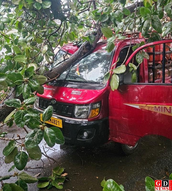 आंधी का कहर, दर्जनों घर तबाह, बिजली पोल गिरे, अंतर्राज्यीय सड़क घंटों जाम। 8 img 20260604 wa00164265629888488346502