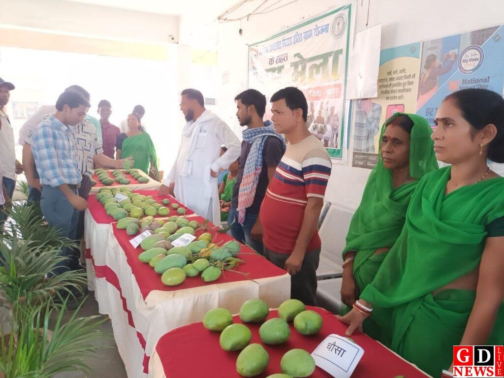 बिरसा योजना के बागानों में लदे सफलता के फल, आम मेले में किसानों ने दिखाई समृद्धि की तस्वीर। 7 img 20260604 wa0029443950960322115726