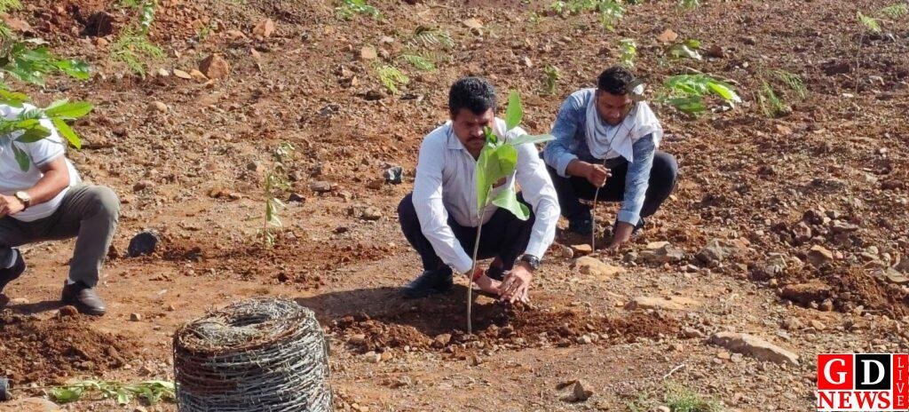पर्यावरण संरक्षण की पहल: गोलपुर माइनिंग व क्रशर प्लांट में 500 पौधे लगाने का अभियान शुरू 8 img 20260715 wa00566645259522216064562