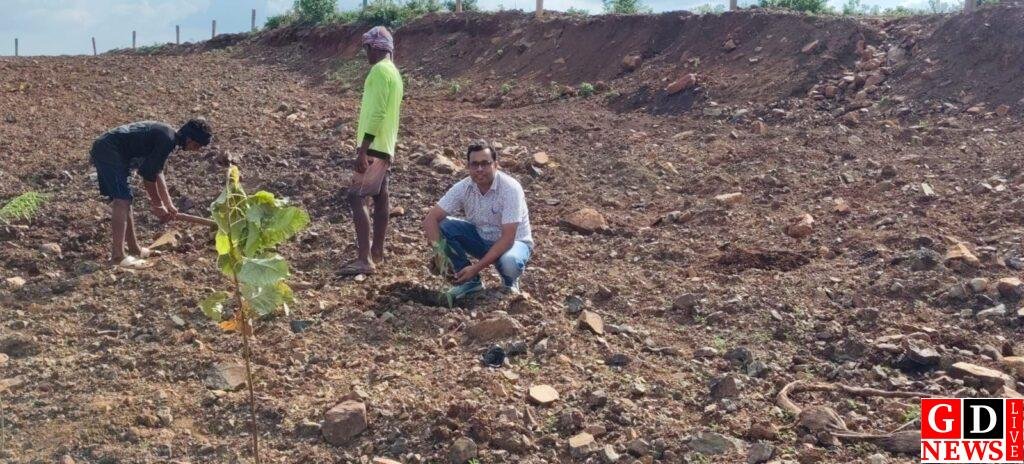 पर्यावरण संरक्षण की पहल: गोलपुर माइनिंग व क्रशर प्लांट में 500 पौधे लगाने का अभियान शुरू 7 img 20260715 wa00572542099311765731056