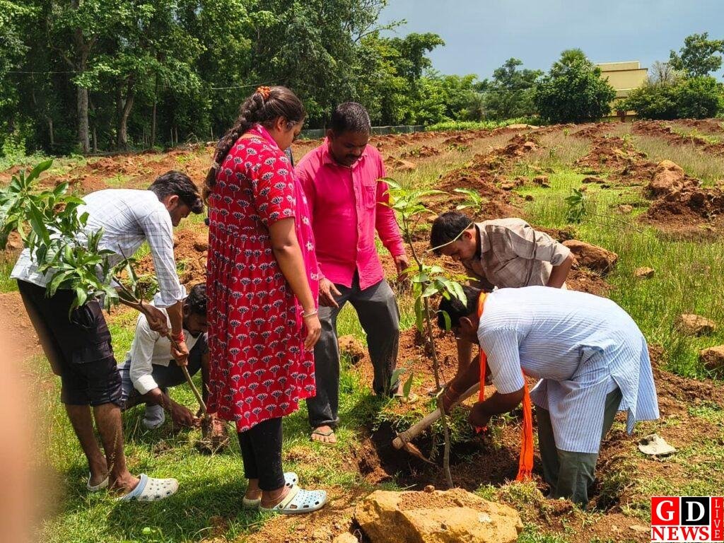 जन वन पौधारोपण अभियान, 800 से अधिक पौधे लगाकर ग्रामीणों ने लिया संरक्षण का संकल्प 7 img 20260730 wa00177364966264205757232