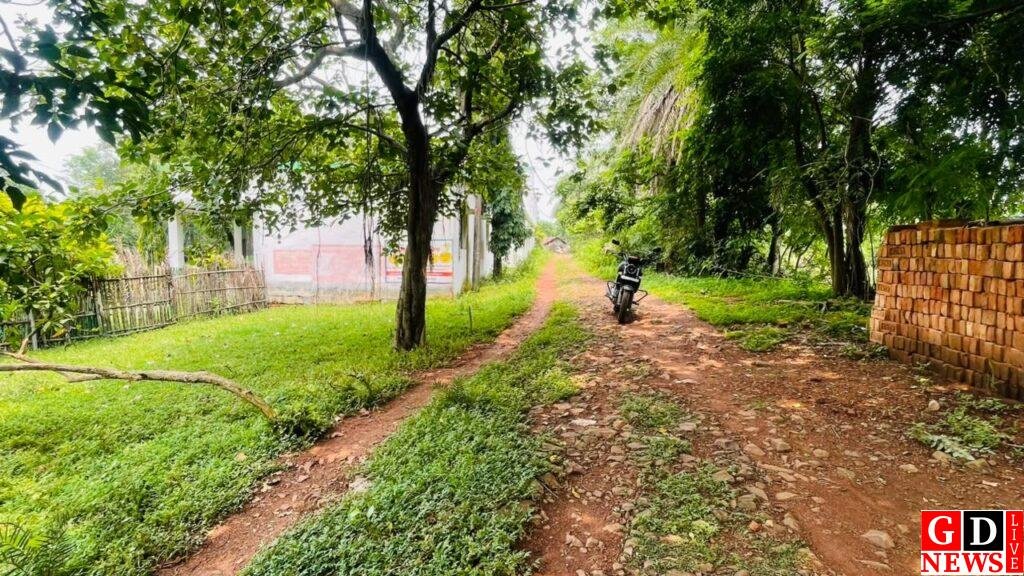 स्कूल जाने वाली दोनों सड़कें बदहाल, गड्ढों और कीचड़ के बीच पढ़ने पहुंच रहे सैकड़ों बच्चे 8 img 20260927 wa00907134107967824406225