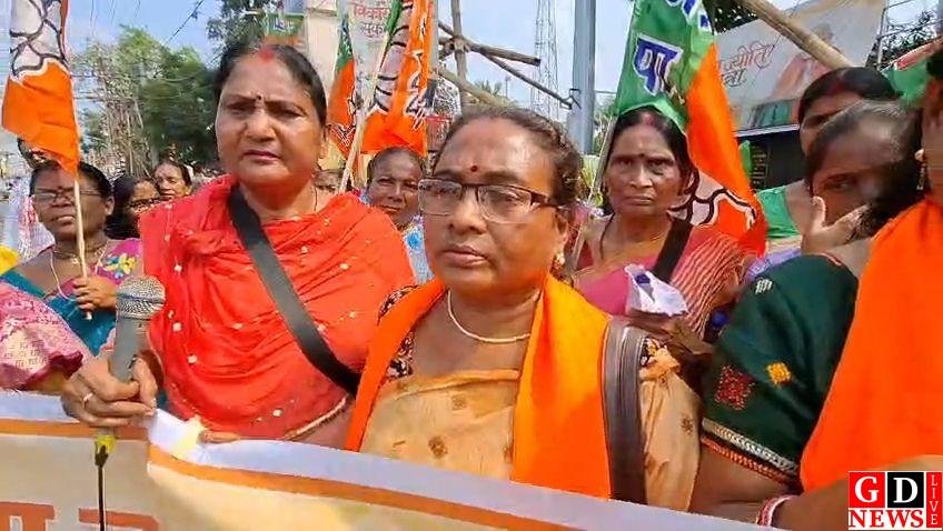 जेएनयू यौन उत्पीड़न मामले पर पाकुड़ में भाजपा का हल्लाबोल, कांग्रेस से मांगा जवाब 7 IMG 20261012 WA0045